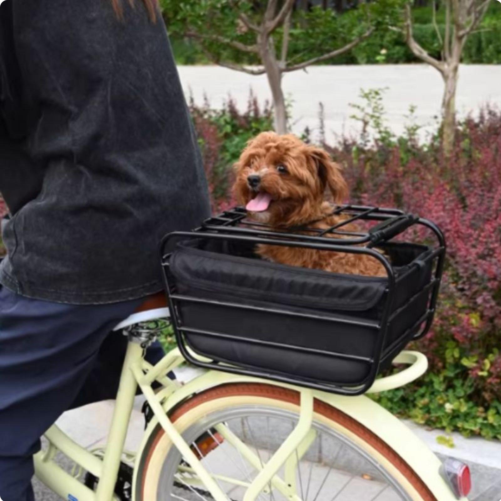 Bicycle Basket With Dog Strap  - Mountain Biking With Dog ulasan dan harga