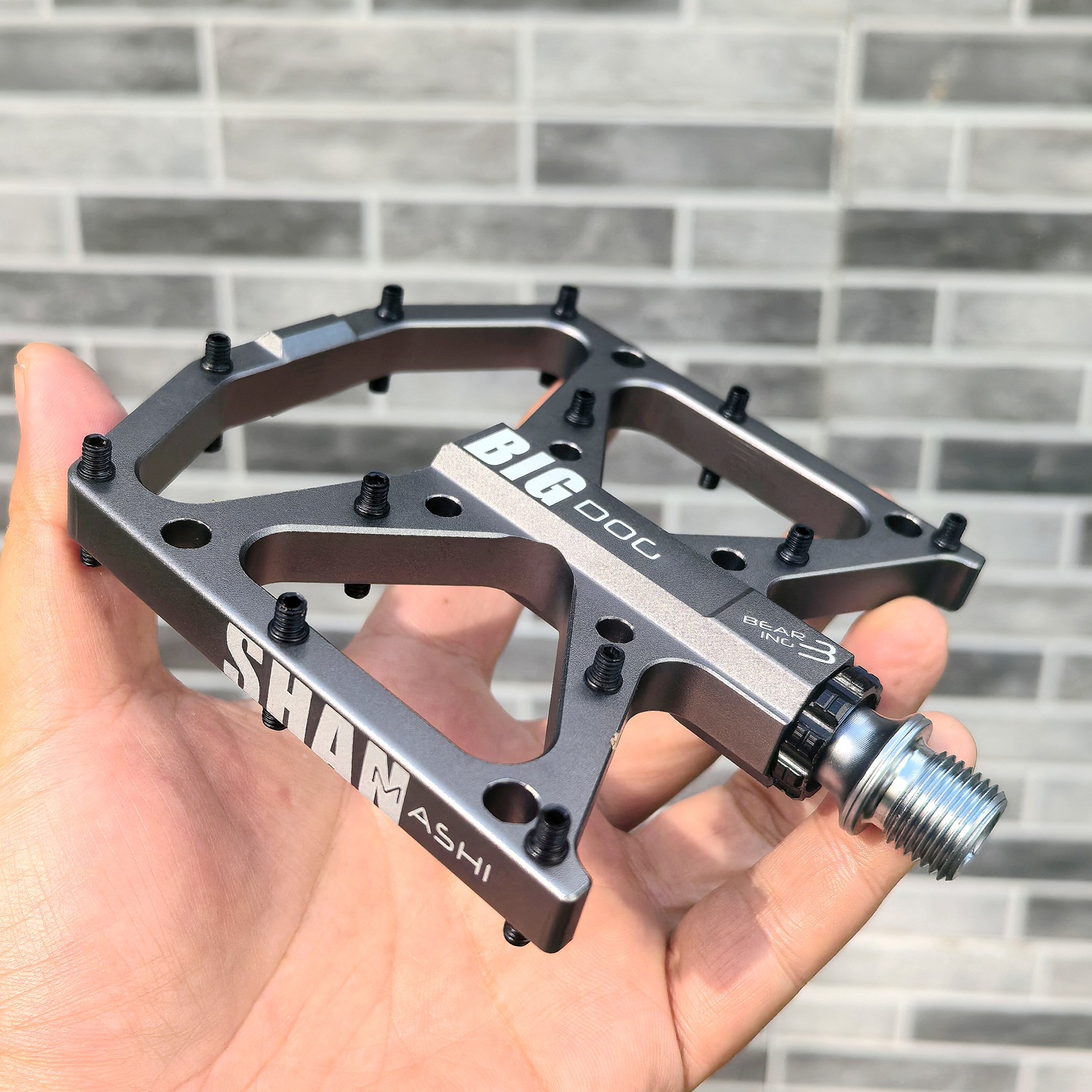 Big dog pedals mountain bike 3 - Mountain Biking With Dog ulasan dan harga