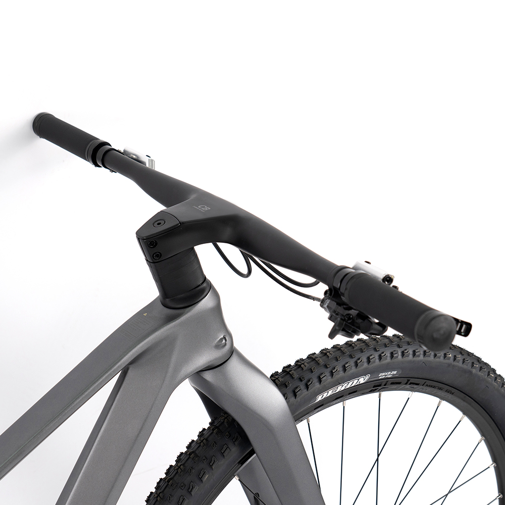 Premium Carbon Mountain Bike w - Mountain Biking Gear ulasan dan harga